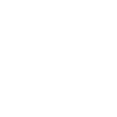 LOOM & LIT